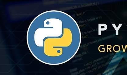 Custom Python Web & Software Development India, USA