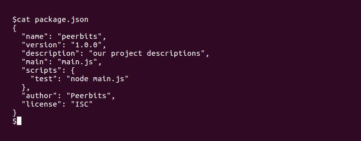 development-practices-for-node-js-developers-package