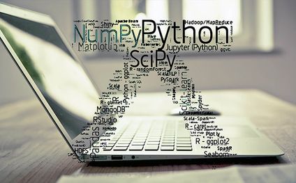 Factors that will Drive Python Growth in 2022 - Peerbits