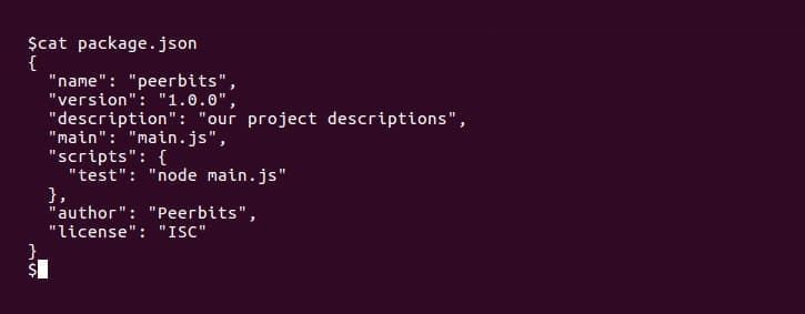 development-practices-for-node-js-developers-package