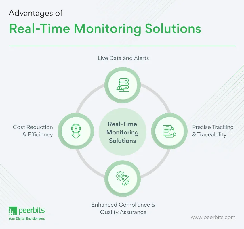 benefits-of-real-time-monitoring-solutions-peerbits
