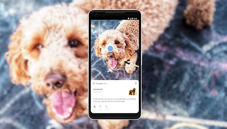google io 2019 all google lens update